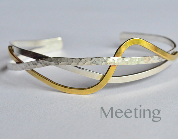 Collezione Meeting
